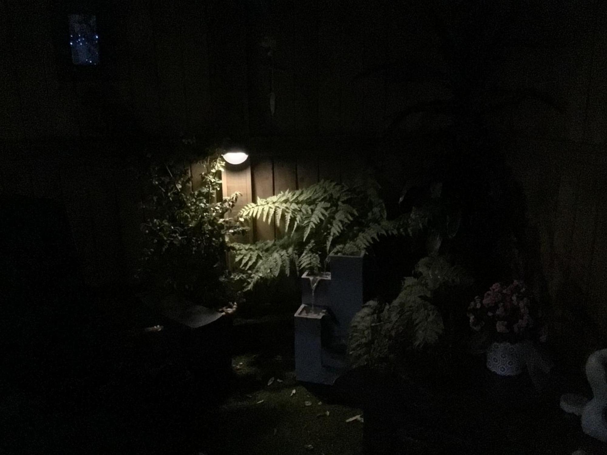 Tranquil Garden Studio Tauranga Luaran gambar
